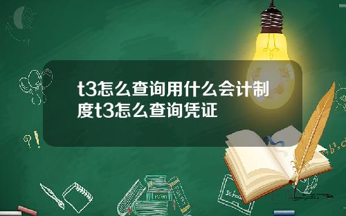 t3怎么查询用什么会计制度t3怎么查询凭证