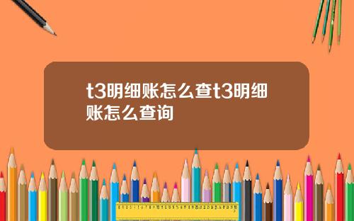 t3明细账怎么查t3明细账怎么查询