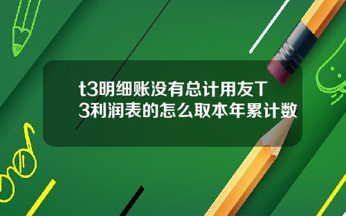 t3明细账没有总计用友T3利润表的怎么取本年累计数