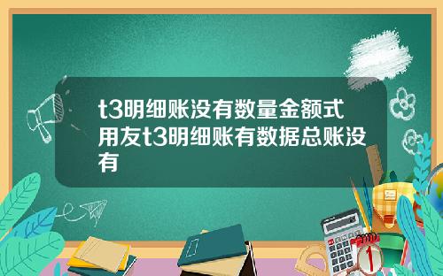 t3明细账没有数量金额式用友t3明细账有数据总账没有