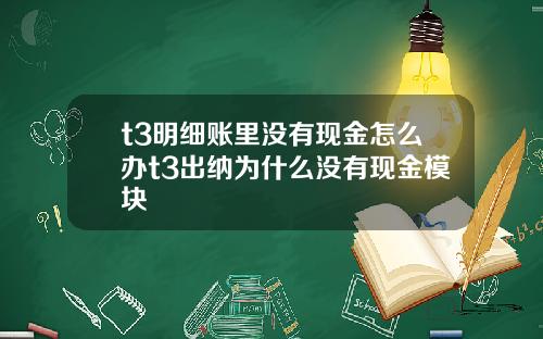 t3明细账里没有现金怎么办t3出纳为什么没有现金模块