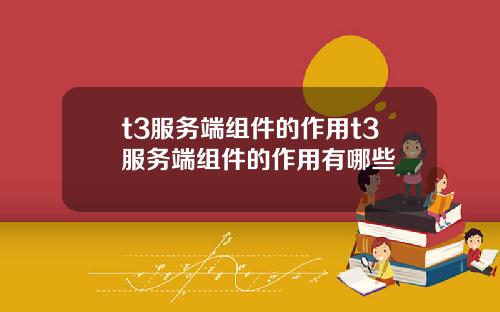 t3服务端组件的作用t3服务端组件的作用有哪些