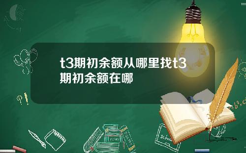 t3期初余额从哪里找t3期初余额在哪