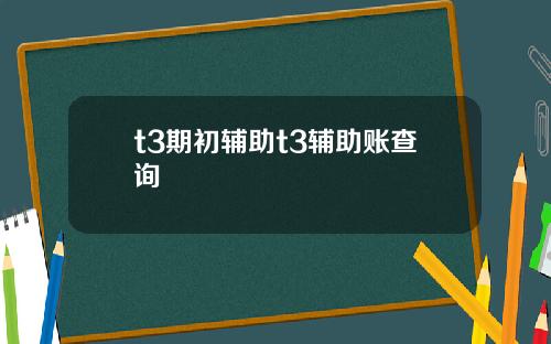 t3期初辅助t3辅助账查询