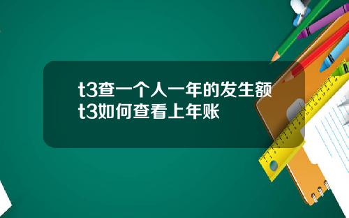 t3查一个人一年的发生额t3如何查看上年账