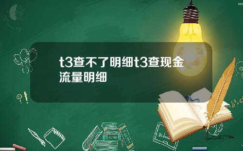 t3查不了明细t3查现金流量明细