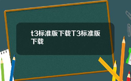 t3标准版下载T3标准版下载