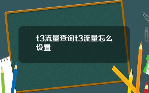 t3流量查询t3流量怎么设置