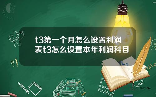 t3第一个月怎么设置利润表t3怎么设置本年利润科目