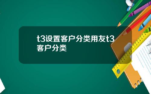 t3设置客户分类用友t3客户分类