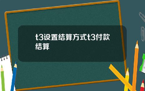 t3设置结算方式t3付款结算