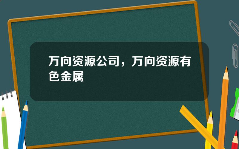 万向资源公司，万向资源有色金属