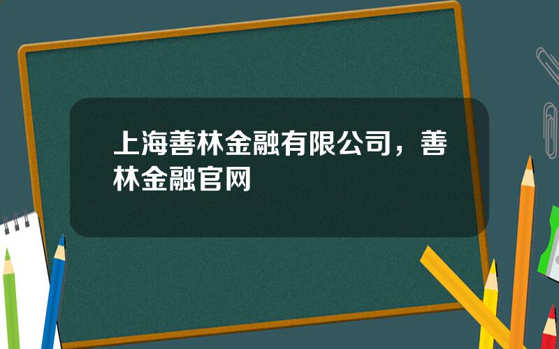 上海善林金融有限公司，善林金融官网