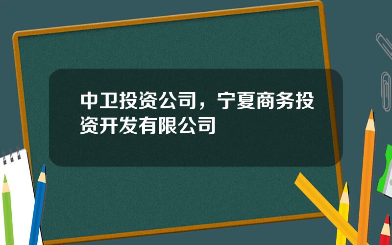 中卫投资公司，宁夏商务投资开发有限公司