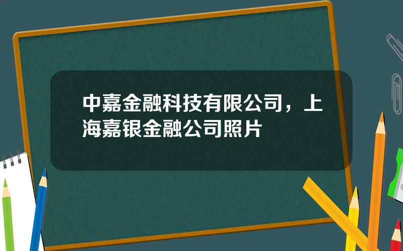 中嘉金融科技有限公司，上海嘉银金融公司照片