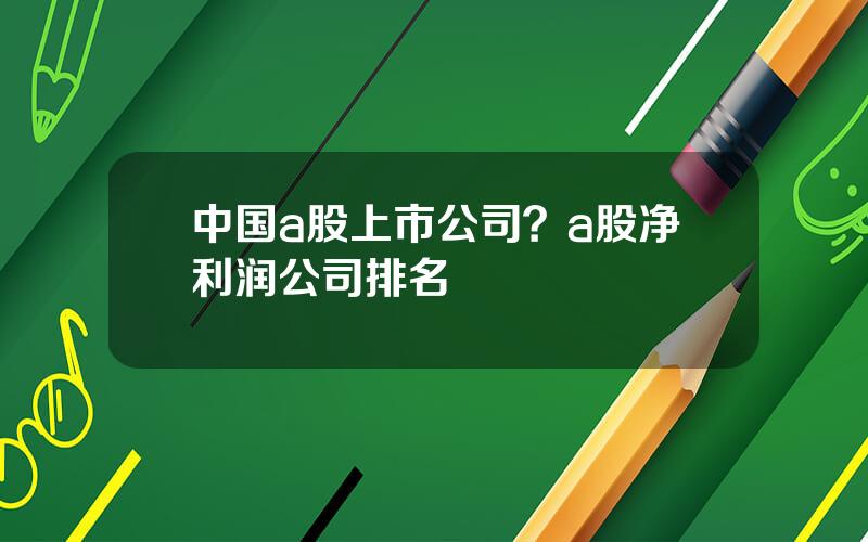 中国a股上市公司？a股净利润公司排名