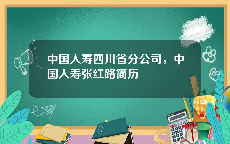 中国人寿四川省分公司，中国人寿张红路简历