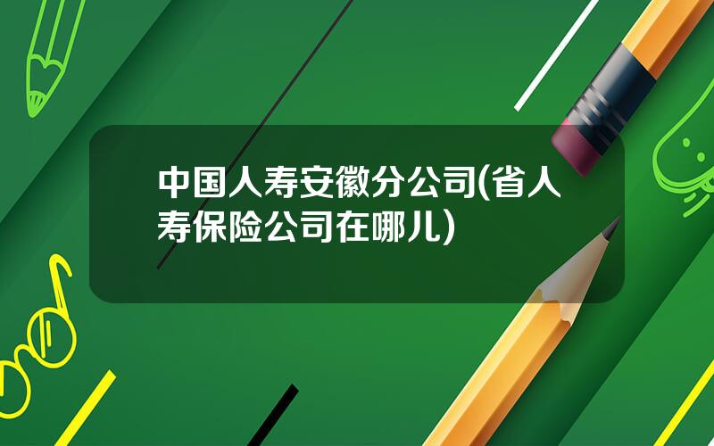 中国人寿安徽分公司(省人寿保险公司在哪儿)