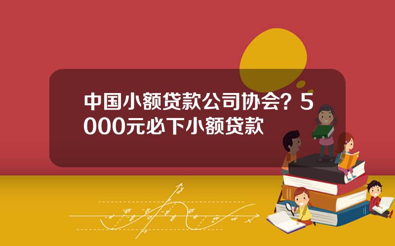 中国小额贷款公司协会？5000元必下小额贷款