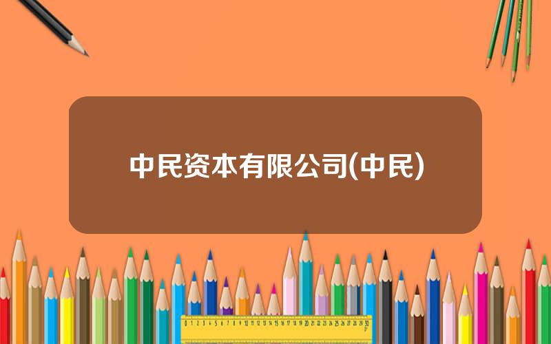 中民资本有限公司(中民)