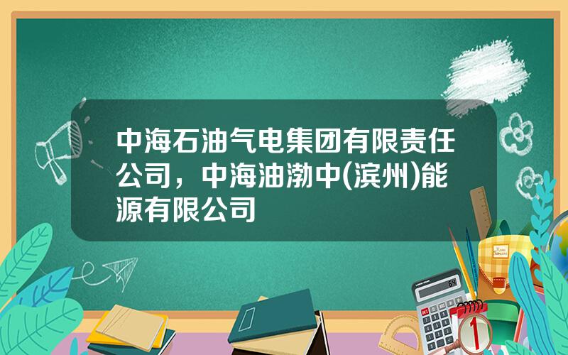 中海石油气电集团有限责任公司，中海油渤中(滨州)能源有限公司