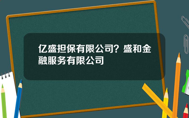 亿盛担保有限公司？盛和金融服务有限公司