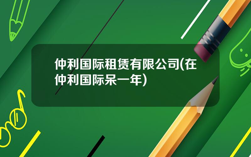 仲利国际租赁有限公司(在仲利国际呆一年)