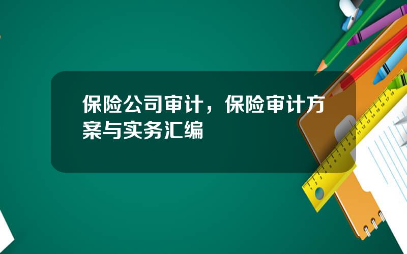 保险公司审计，保险审计方案与实务汇编