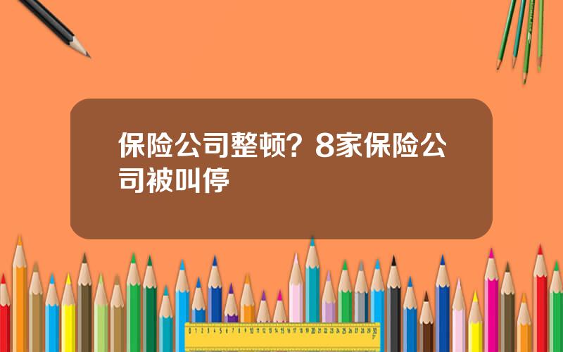 保险公司整顿？8家保险公司被叫停