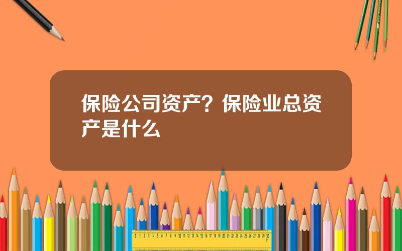 保险公司资产？保险业总资产是什么