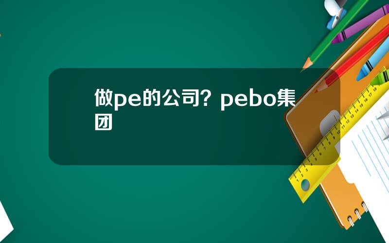 做pe的公司？pebo集团