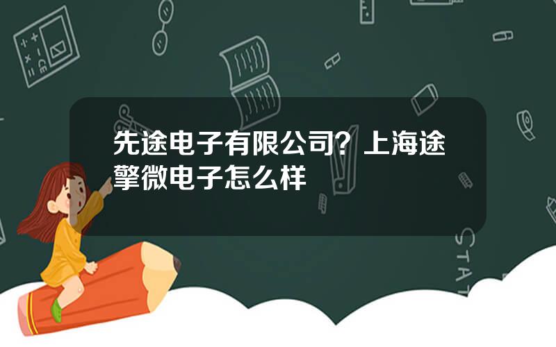 先途电子有限公司？上海途擎微电子怎么样