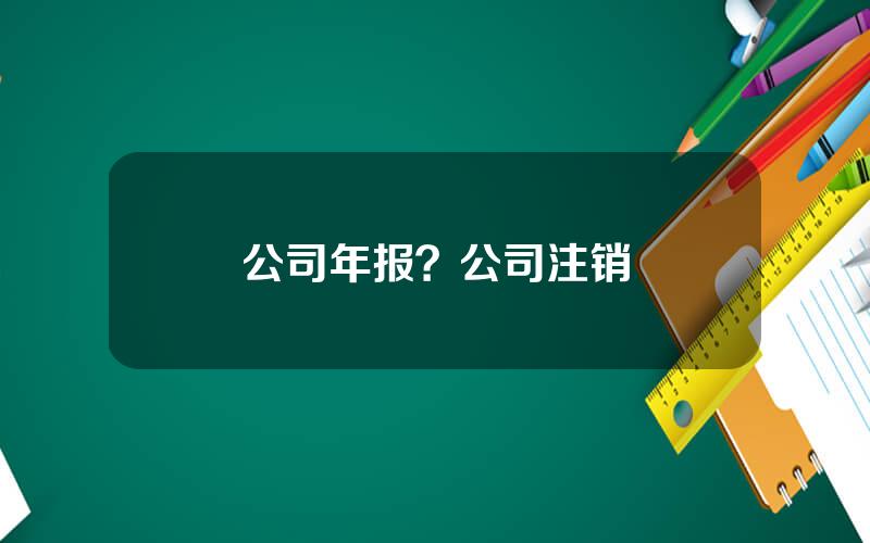 公司年报？公司注销