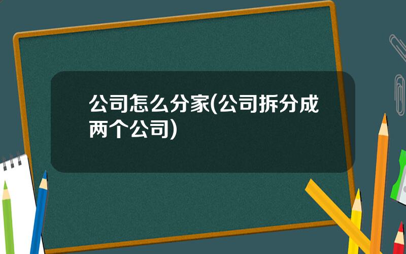 公司怎么分家(公司拆分成两个公司)