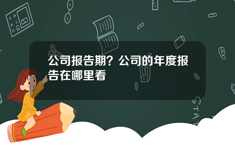 公司报告期？公司的年度报告在哪里看