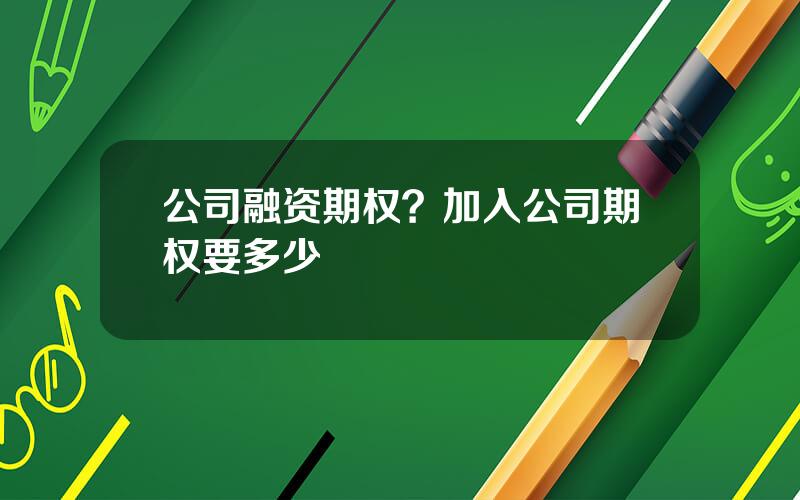 公司融资期权？加入公司期权要多少