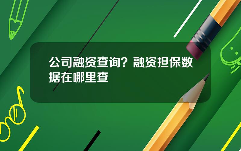 公司融资查询？融资担保数据在哪里查