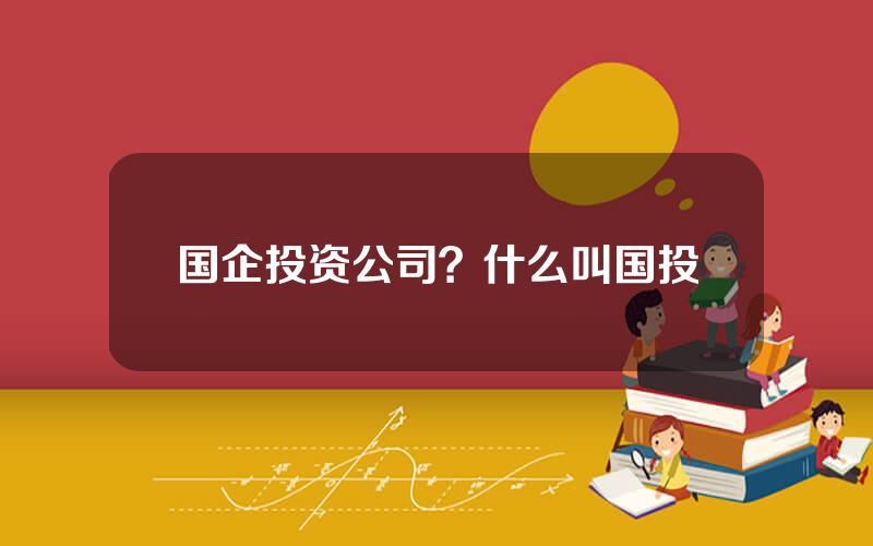 国企投资公司？什么叫国投