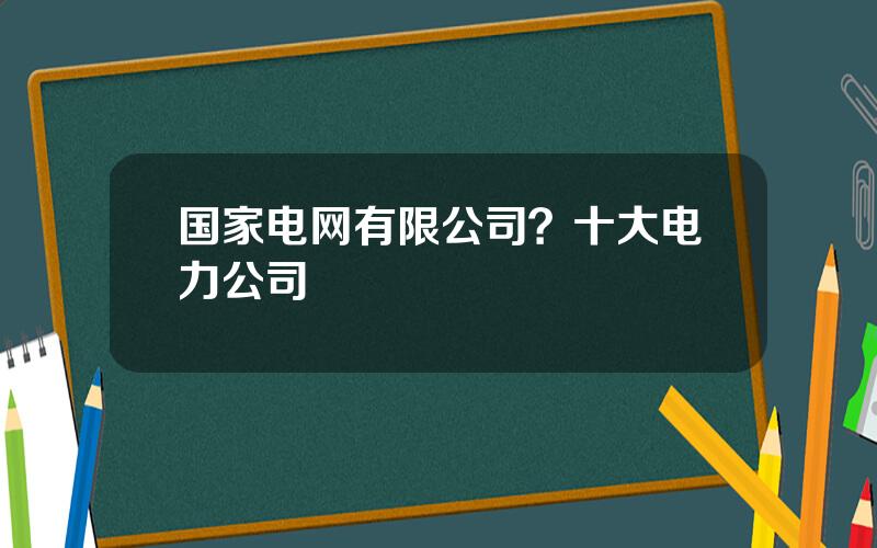 国家电网有限公司？十大电力公司