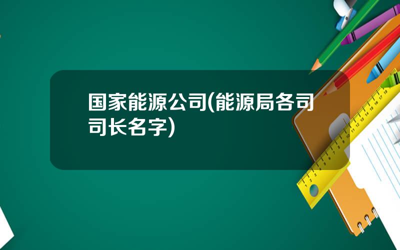 国家能源公司(能源局各司司长名字)