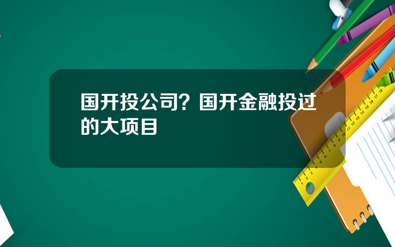 国开投公司？国开金融投过的大项目