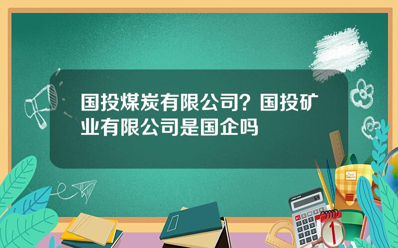 国投煤炭有限公司？国投矿业有限公司是国企吗