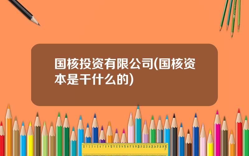 国核投资有限公司(国核资本是干什么的)