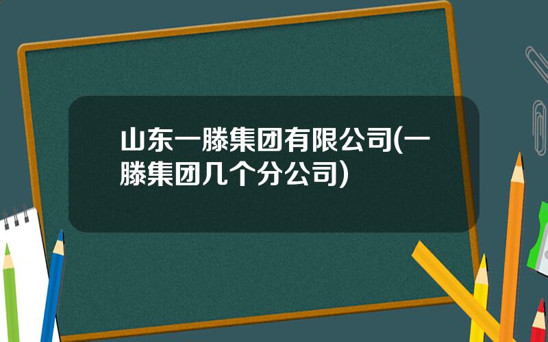 山东一滕集团有限公司(一滕集团几个分公司)