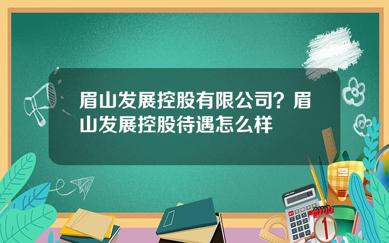 眉山发展控股有限公司？眉山发展控股待遇怎么样