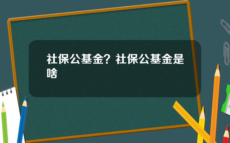 社保公基金？社保公基金是啥